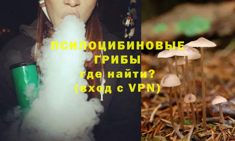 Псилоцибиновые грибы Magic Shrooms  mega   Алапаевск 